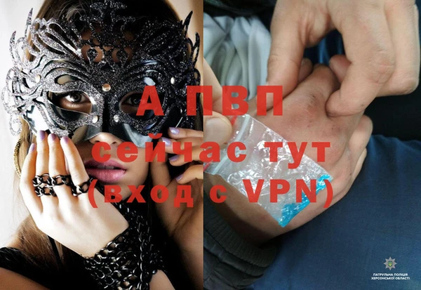 прущие крисы Гусиноозёрск