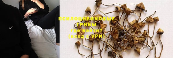 ГАЛЛЮЦИНОГЕННЫЕ ГРИБЫ Гусь-Хрустальный