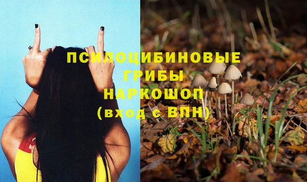 прущие крисы Гусиноозёрск