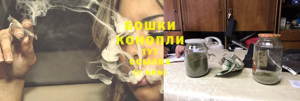 скорость Гусев