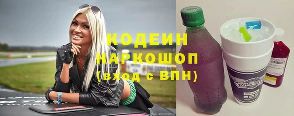 ГАЛЛЮЦИНОГЕННЫЕ ГРИБЫ Гусь-Хрустальный
