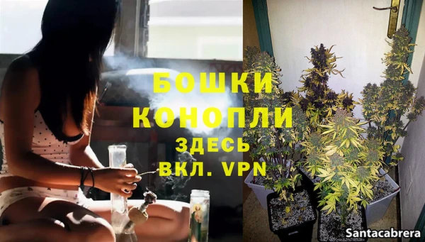 ГАЛЛЮЦИНОГЕННЫЕ ГРИБЫ Гусь-Хрустальный
