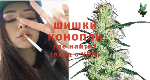 скорость Гусев
