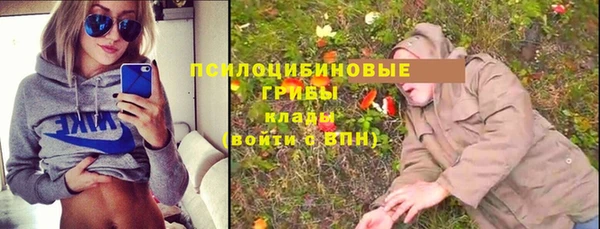 скорость Гусев