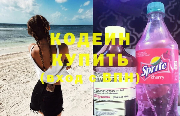 ГАЛЛЮЦИНОГЕННЫЕ ГРИБЫ Гусь-Хрустальный
