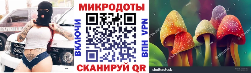 Купить закладки  Канаш  Галлюциногенные грибы Psilocybine cubensis 